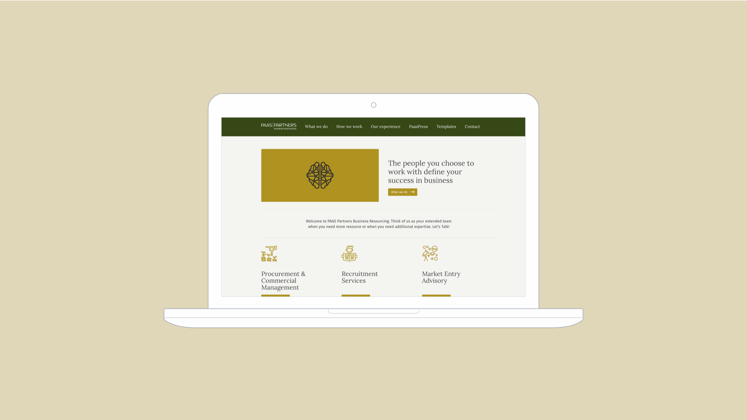 PAAS Partners portfolio thumbnail — homepage grid card