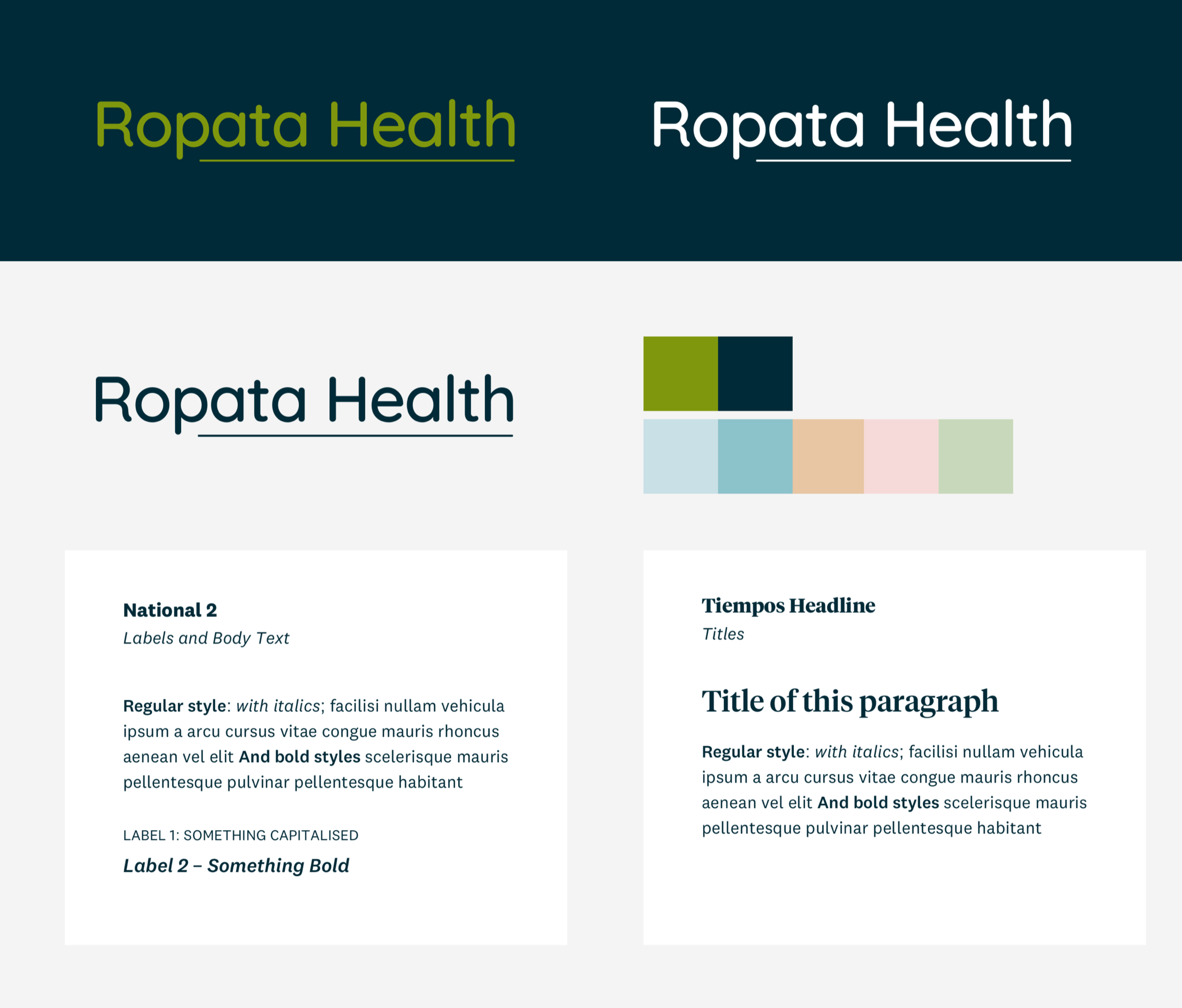 Ropata Health website wireframe asset